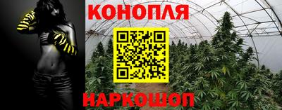 прущие грибы Ликино-Дулёво