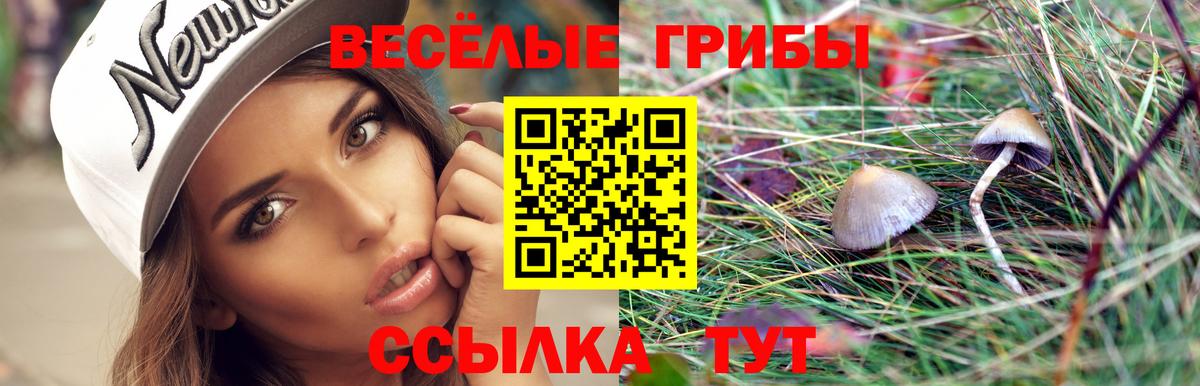 Дубна  Псилоцибиновые грибы прущие грибы  Вход с VPN  Галлюциногенные грибы мицелий 